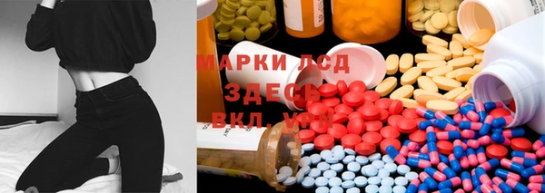 ГАЛЛЮЦИНОГЕННЫЕ ГРИБЫ Алзамай
