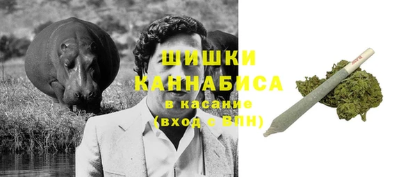 ГАЛЛЮЦИНОГЕННЫЕ ГРИБЫ Алзамай