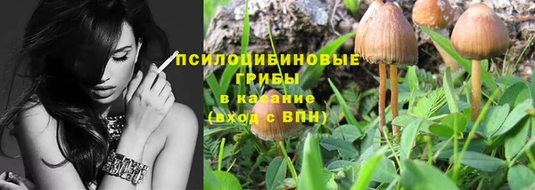 ГАЛЛЮЦИНОГЕННЫЕ ГРИБЫ Алзамай